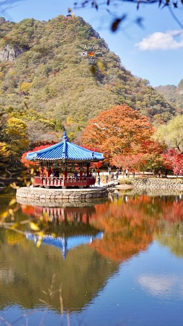 Korea 🇰🇷
韓國印象
#韓國旅遊 #首爾 #釜山旅行 
#busantrip